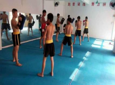 拳击系列5
